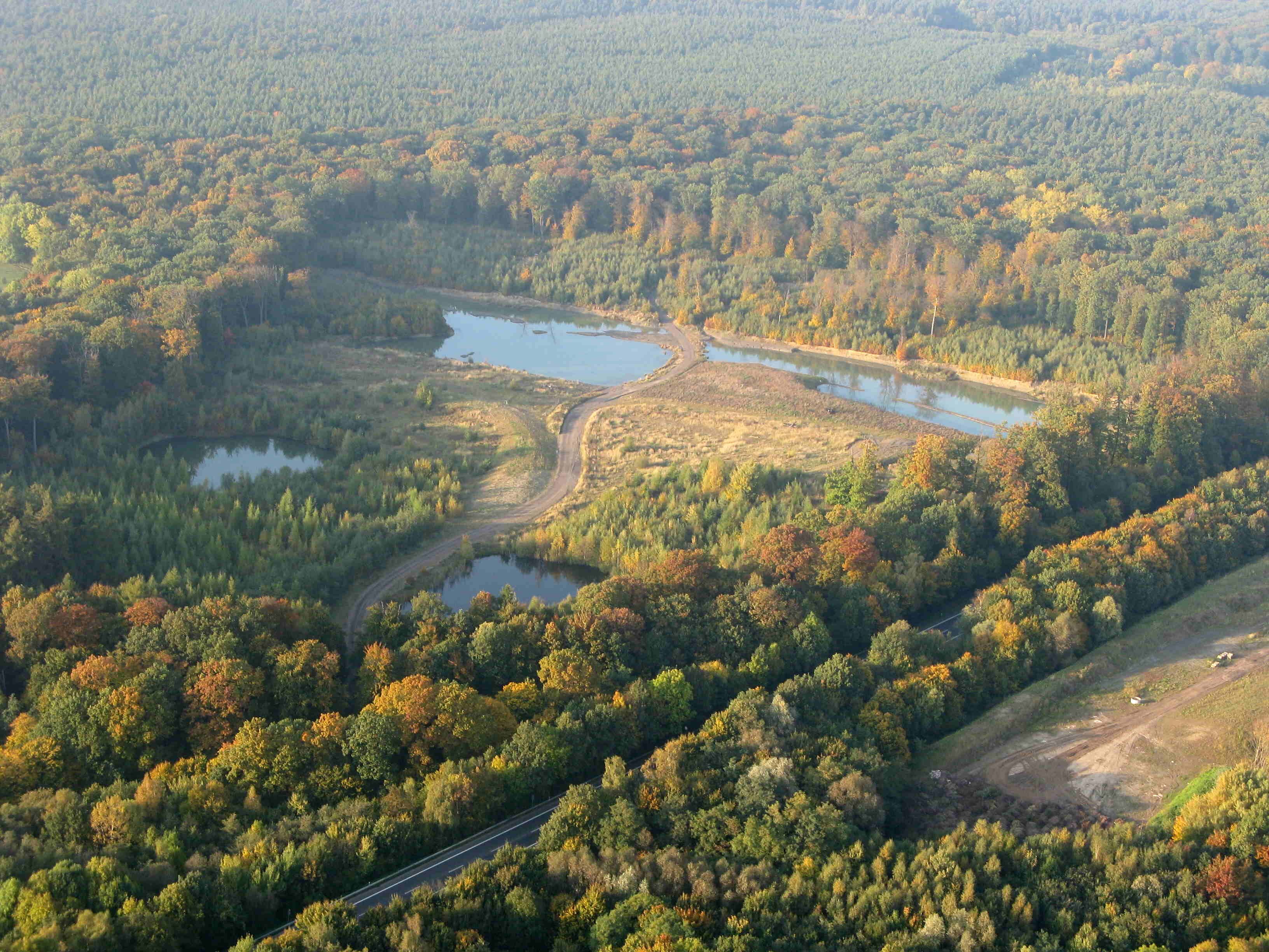 Luftaufnahme des Naturschutzgebietes Kohbrink zwischen Minden und Petershagen in Nordrhein-Westfalen. Im Bildvordergrund die Bundesstraße 61. Im Hintergrund das Waldgebiet und Naturschutzgebiet Heisterholz.