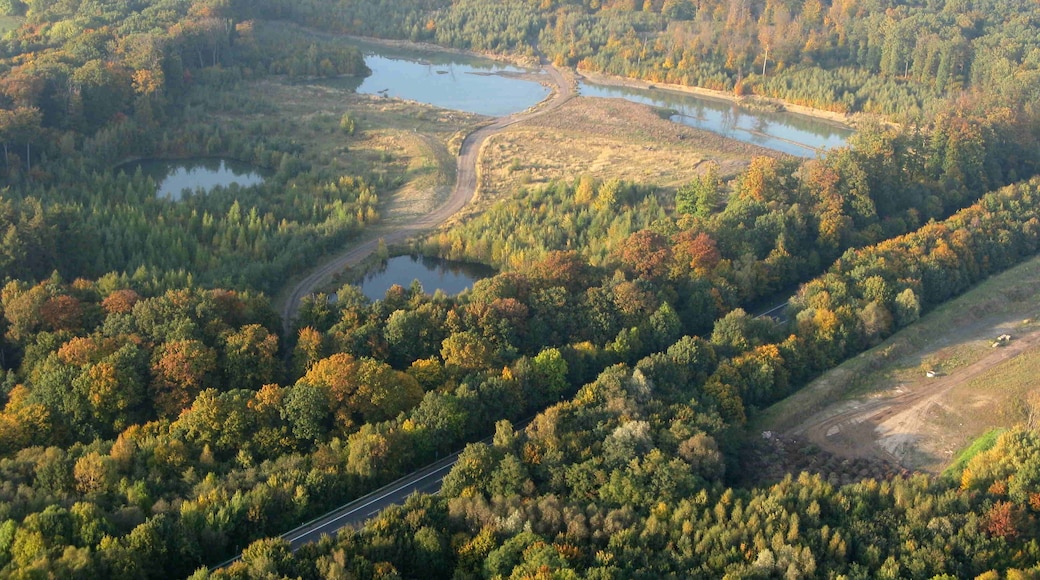 Luftaufnahme des Naturschutzgebietes Kohbrink zwischen Minden und Petershagen in Nordrhein-Westfalen. Im Bildvordergrund die Bundesstraße 61. Im Hintergrund das Waldgebiet und Naturschutzgebiet Heisterholz.