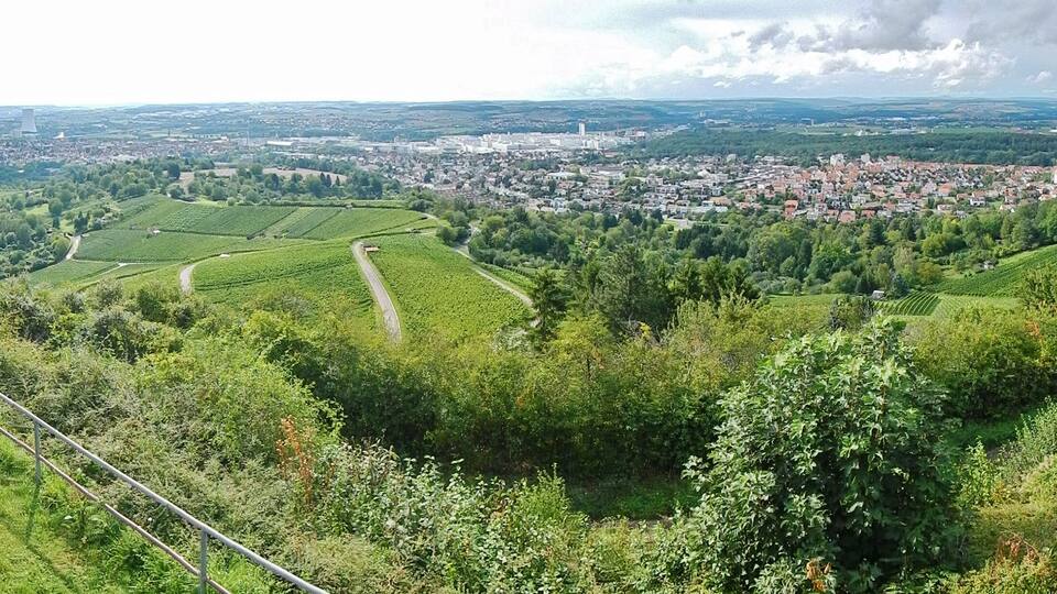 A panoramic view of a town surrounded by lush green fields and vineyards, with distant industrial structures.