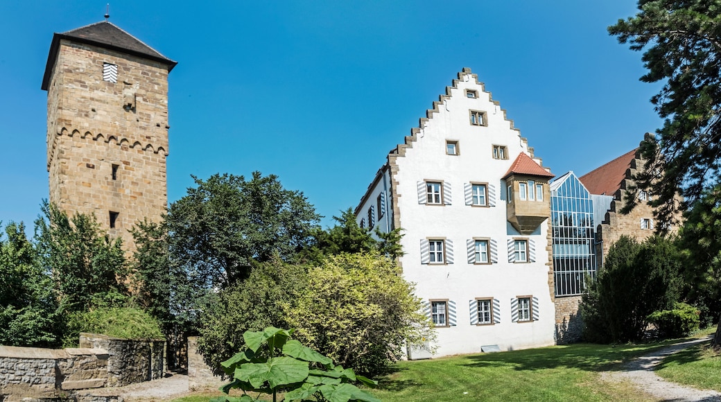 castle in Neckarsbrunn with old tower