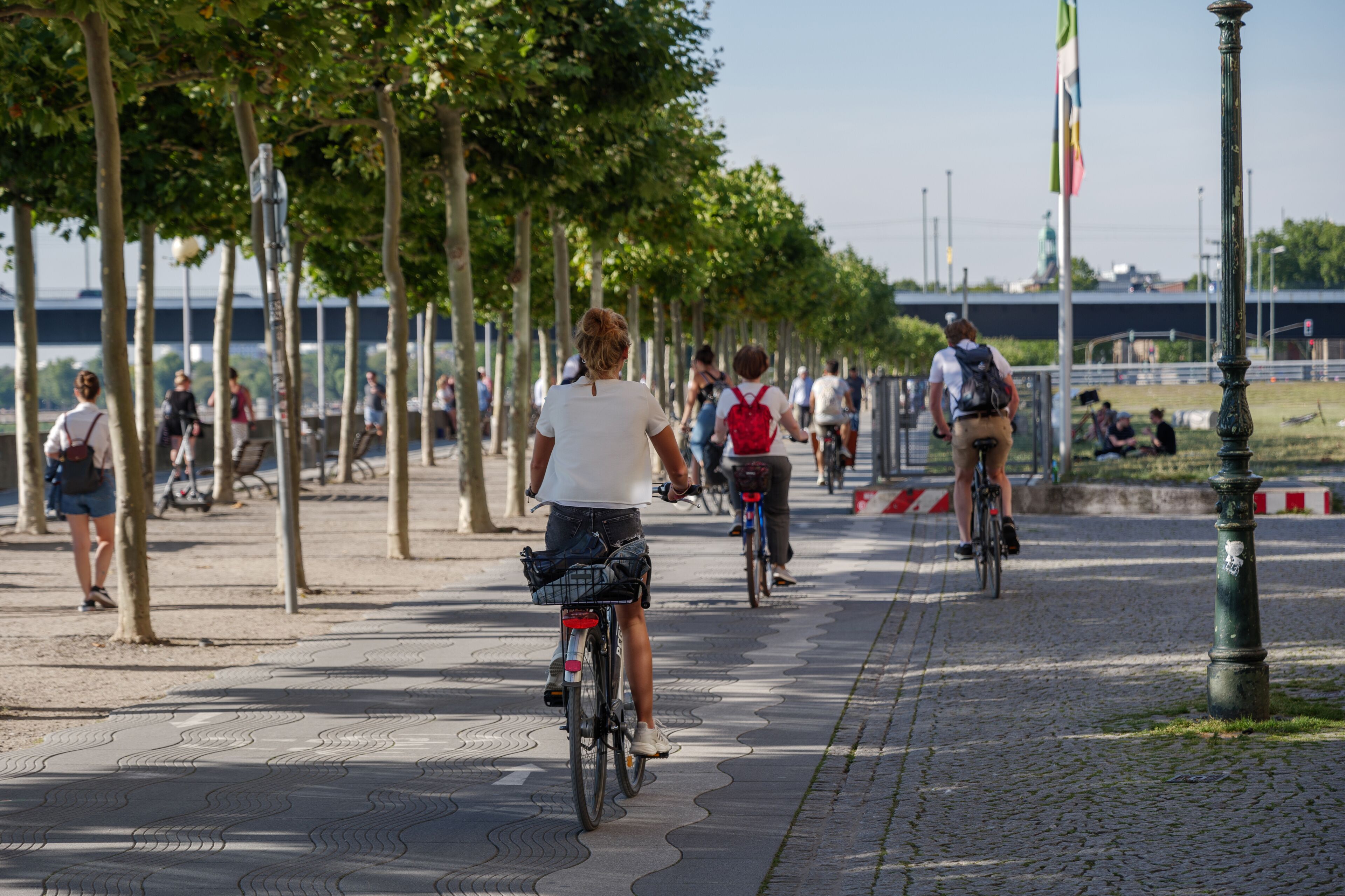 Group of cyclists ride bicycle on bicycle lane on promenade riverside of Rhein River in Düsseldorf, Germany. Cycling friendly city in europe. Eco friendly mobility transportation.