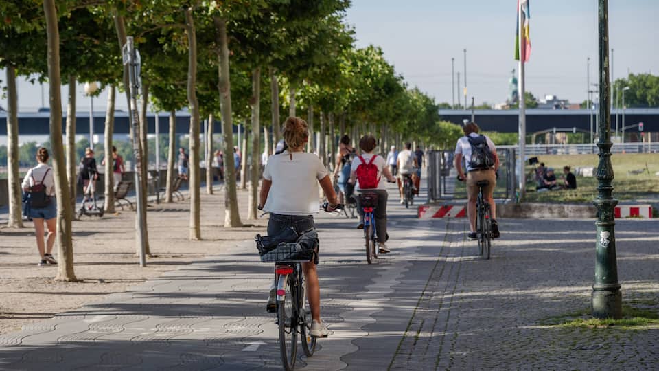 A paved walkway lined with trees, cyclists, and a distant bridge.