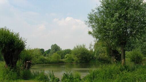 Museum Insel Hombroich