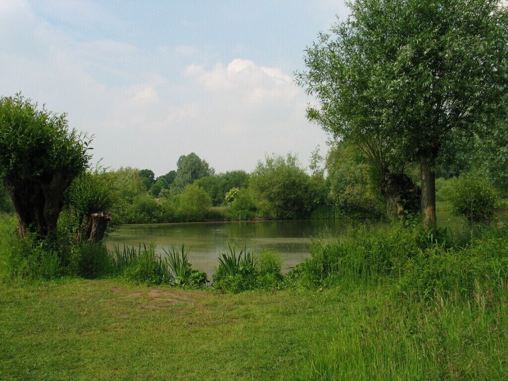 A calm river surrounded by lush greenery and trees.