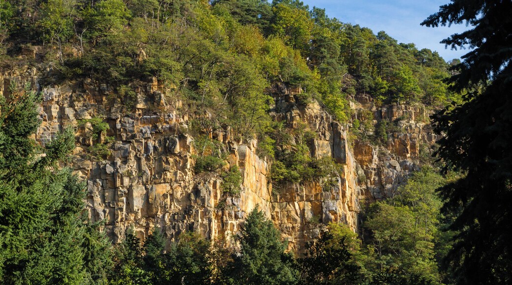 Title: Sandstone rocks in the Klausental near Neustadt-Königsbach Type: Natura 2000 Number: 6812-301 Designation: Biosphere reserve Palatinate Forest Location: Rhineland-Palatinate, Federal Republic of Germany Description: Bunter sandstone low mountain range with wide beeches and oaken old-growth forest. Rocks, streams and meadow valleys with varied standing water bodies. On the eastern edge calcareous dry grassland areas.