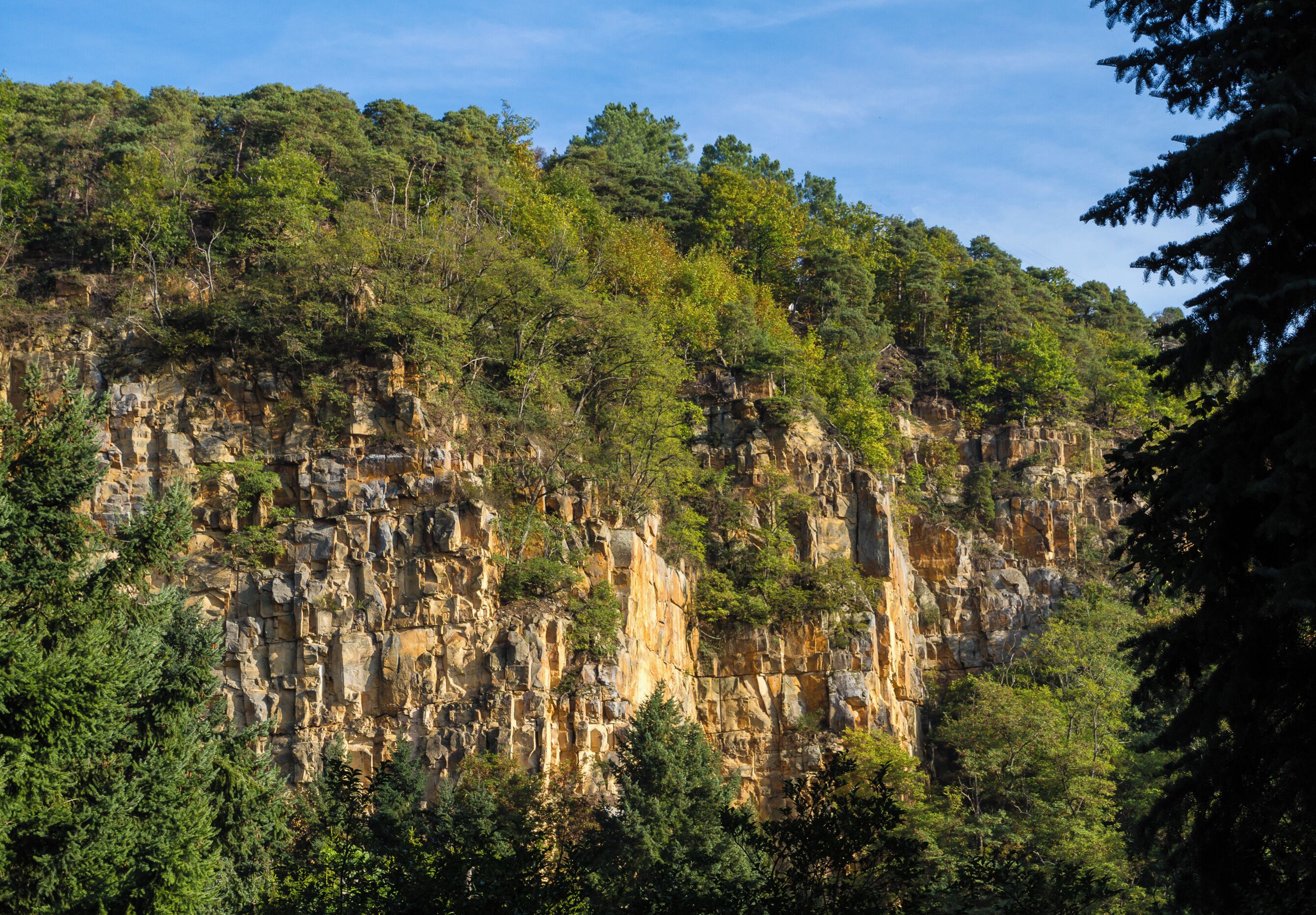 A rugged cliff face with dense forest vegetation.