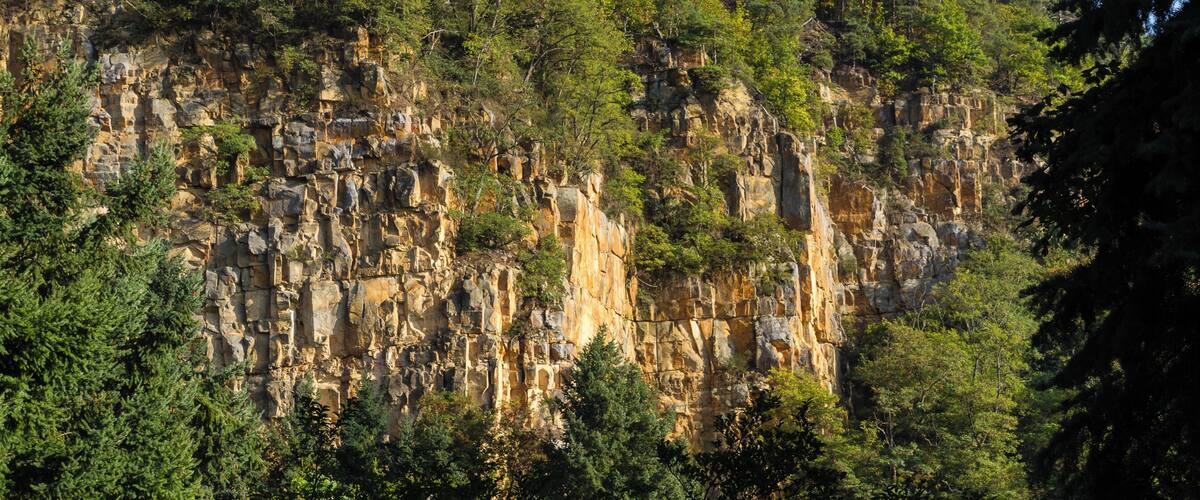 A rugged cliff face with dense forest vegetation.