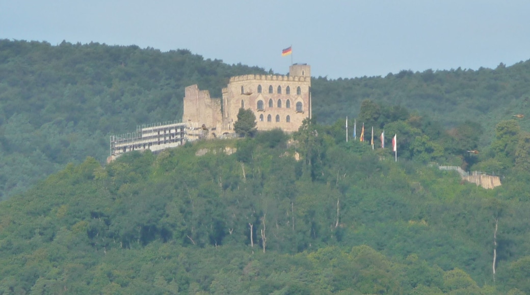 Hambacher Schloss