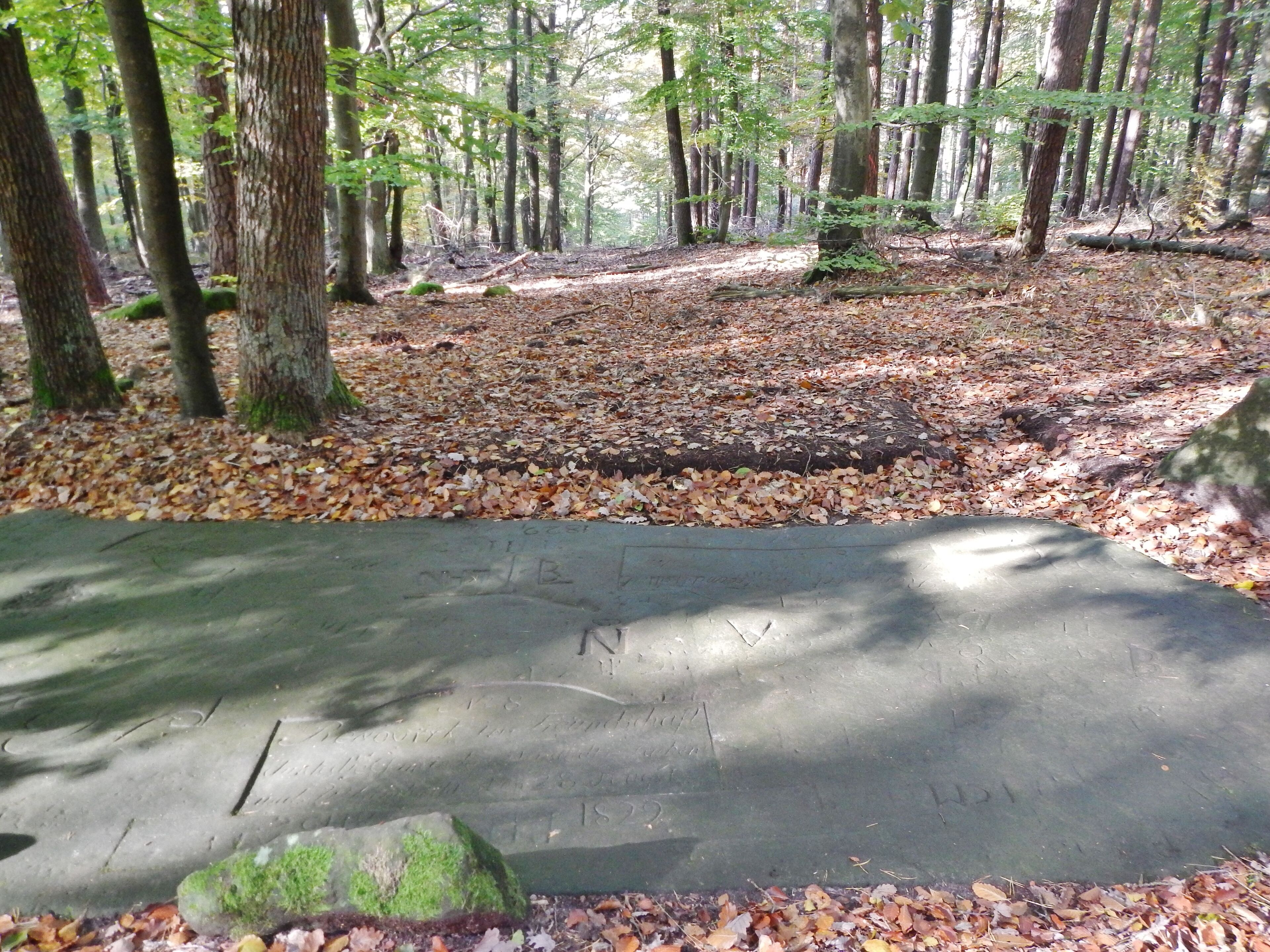 Boden Grenzfelsen "Breite Loog" im Naturpark und Biosphärenreservat Pfälzerwald
