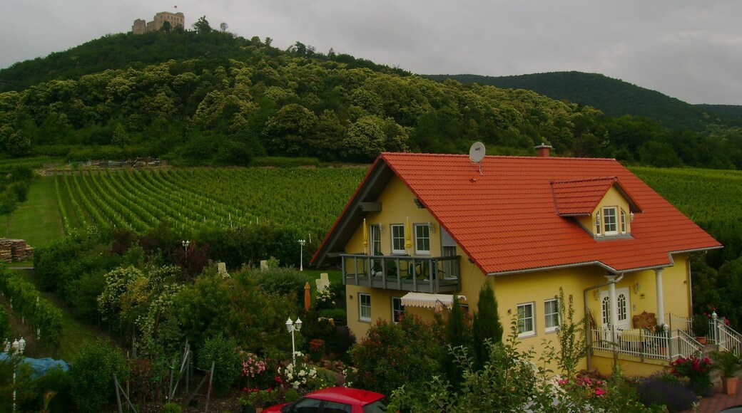 Hambach Kalesi (Hambach Schloss)