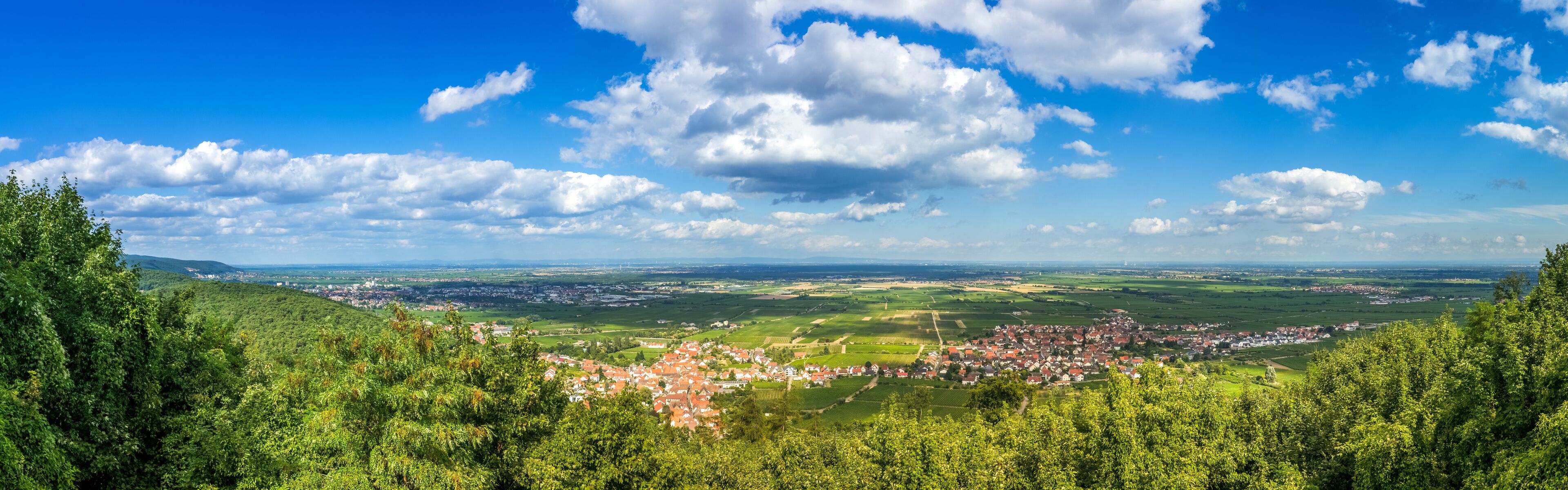 Blick vom Hambacher Schloss auf die Deutsche Weinstraße 