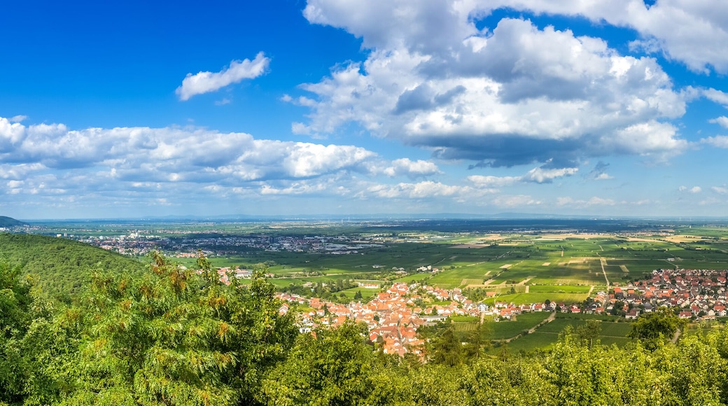 Blick vom Hambacher Schloss auf die Deutsche Weinstraße