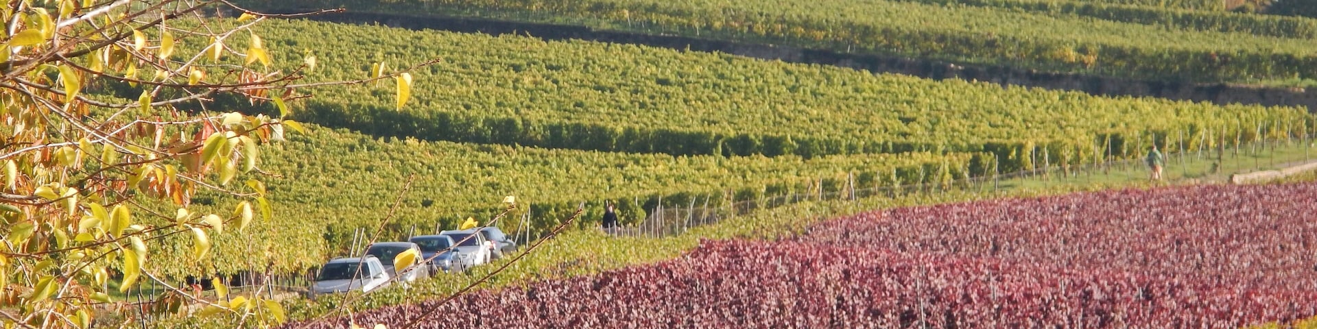Haardtrand-Am Sonnenweg