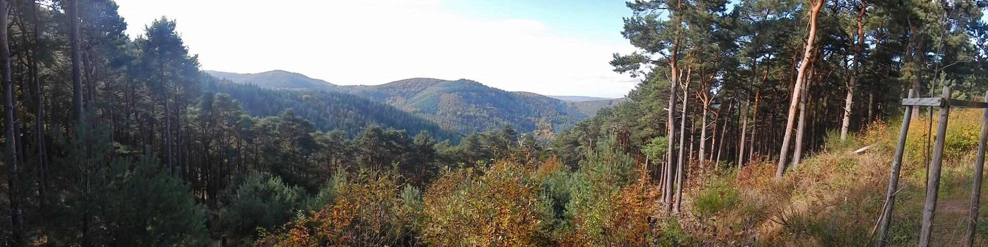 Naturpark und Biosphärenreservat Pfälzerwald