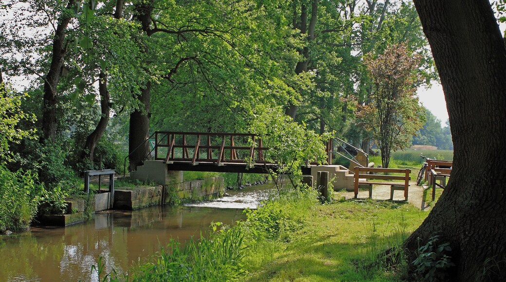 Speyerbachbrücke