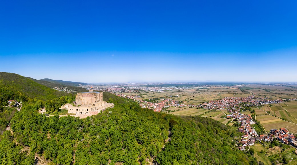 Aerial view, Hambacher Schloss, Hambach, Neustadt an der Weinstrasse, Rhineland-Palatinate, Germany