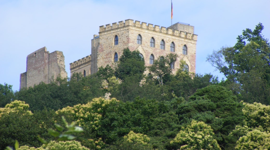 Hambach Kalesi - Hambach Schloss