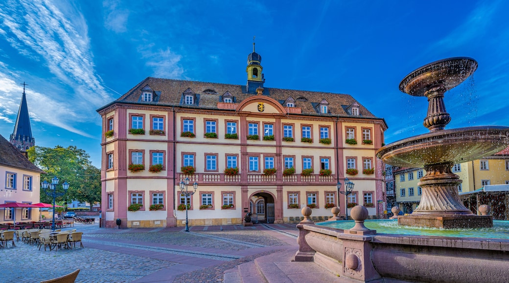 City Hall, Market Square, Neustadt an der Weinstraße, Palatinate, Rhineland-Palatinate, Germany, Europe