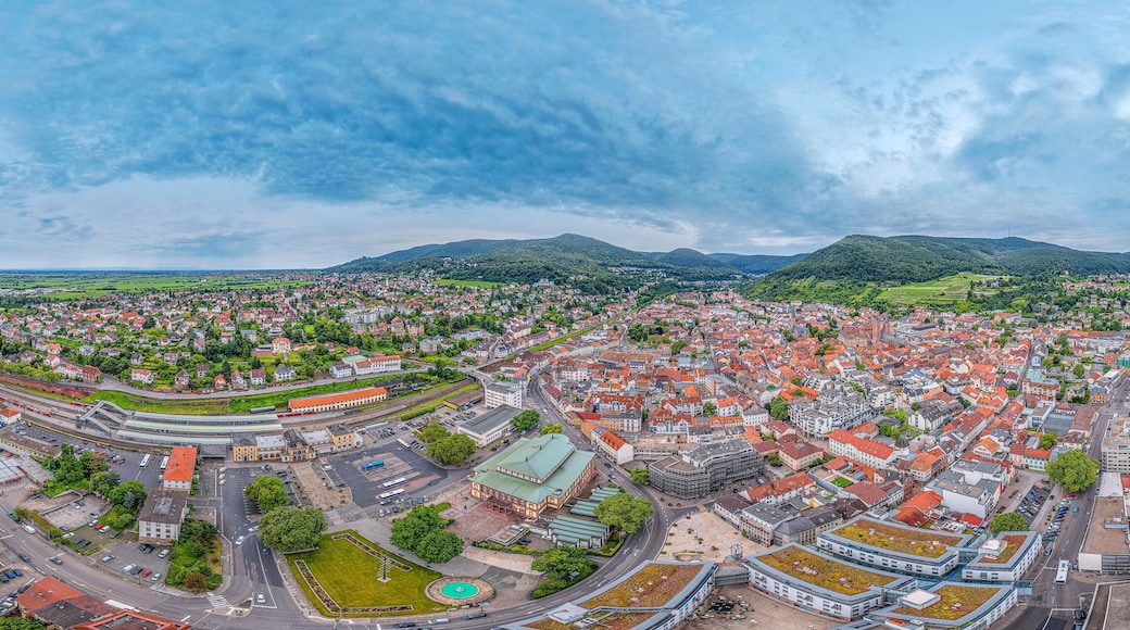Neustadt an der Weinstraße, Germany, Rhineland-Platinate, 360° Airpano