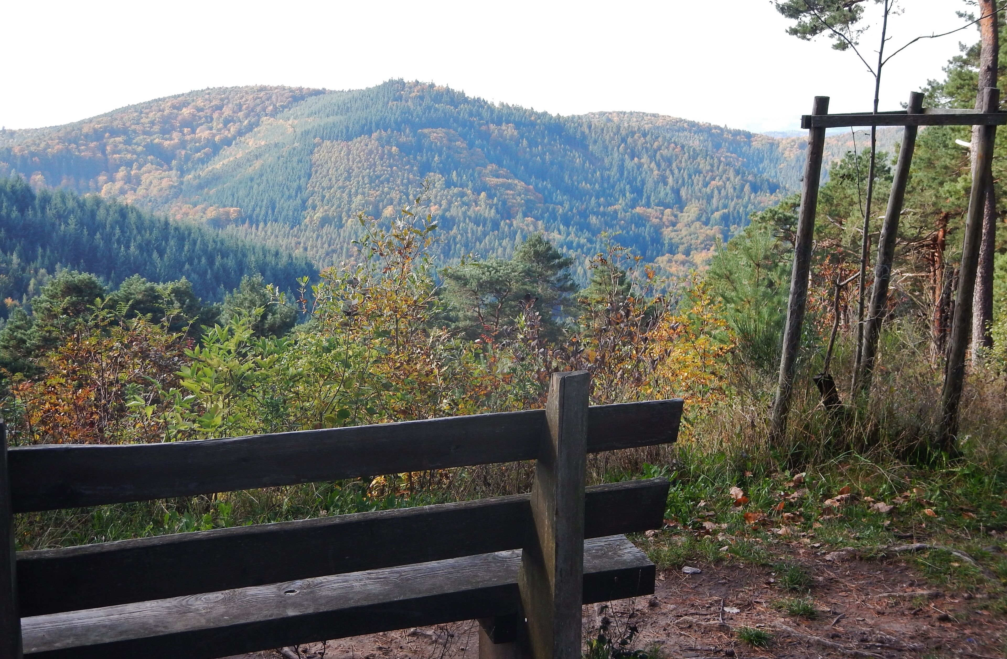 Ausblick vom Wanderparkplatz Hahnenschritt im Naturpark und Biosphärenreservat Pfälzerwald