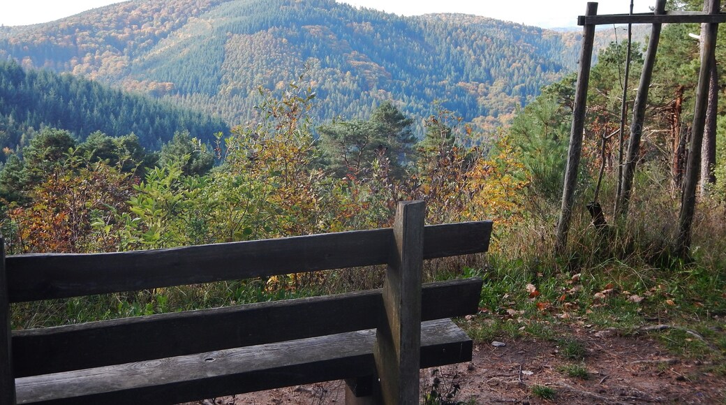 Ausblick vom Wanderparkplatz Hahnenschritt im Naturpark und Biosphärenreservat Pfälzerwald