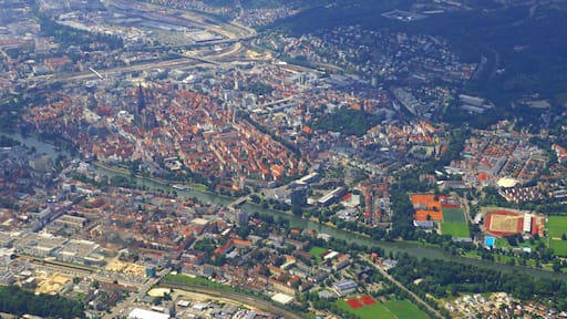 Ulm From Above