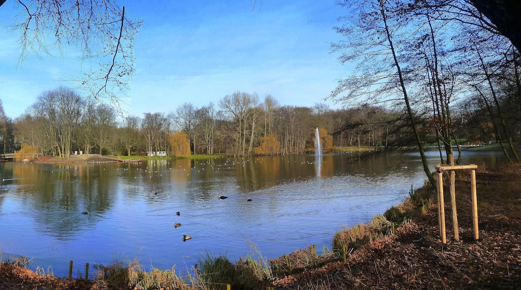 Kaisergarten im Januar 2012 – ICE-Panorama