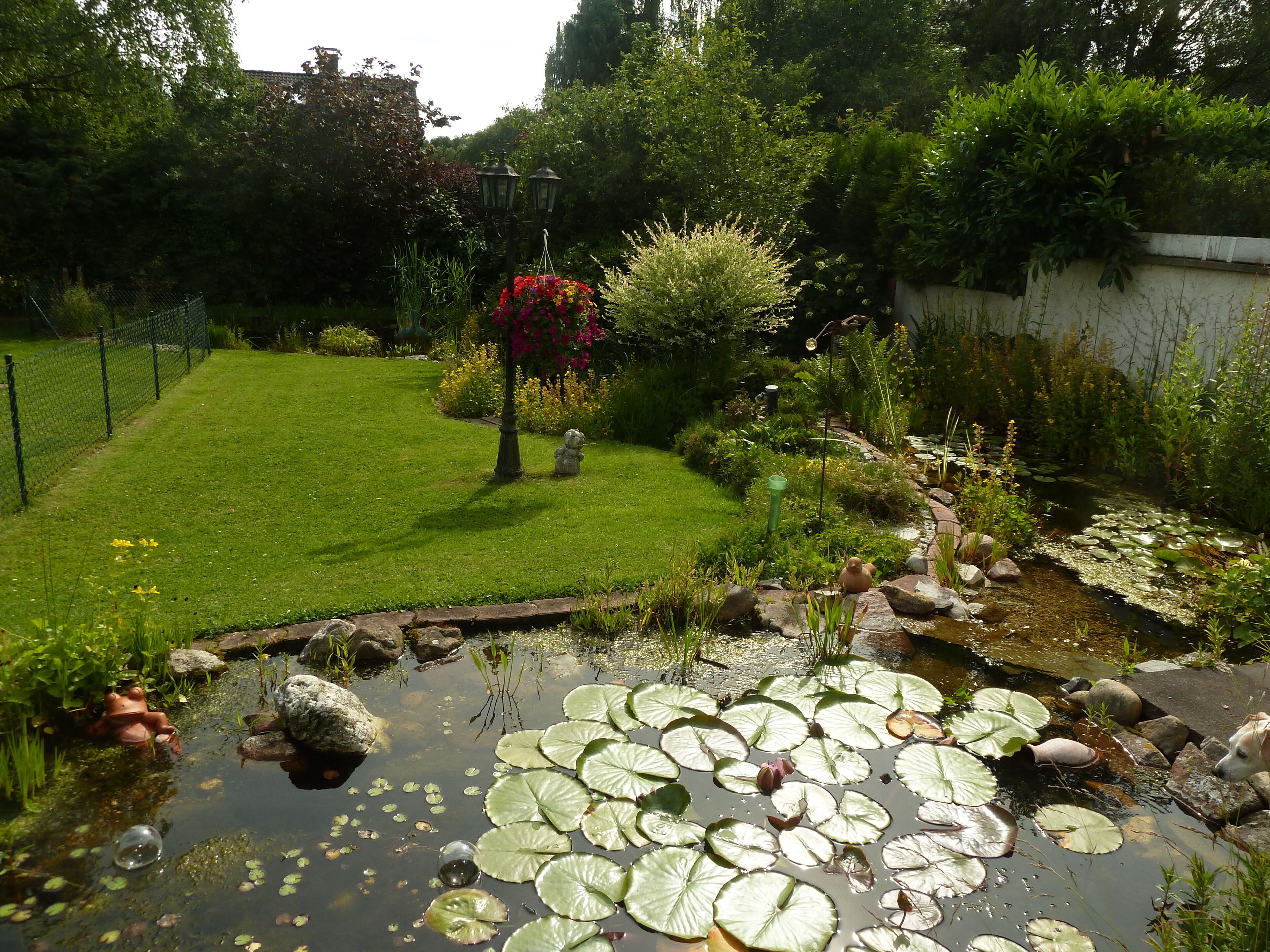 A garden with a pond, green grass, a statue, and various plants.