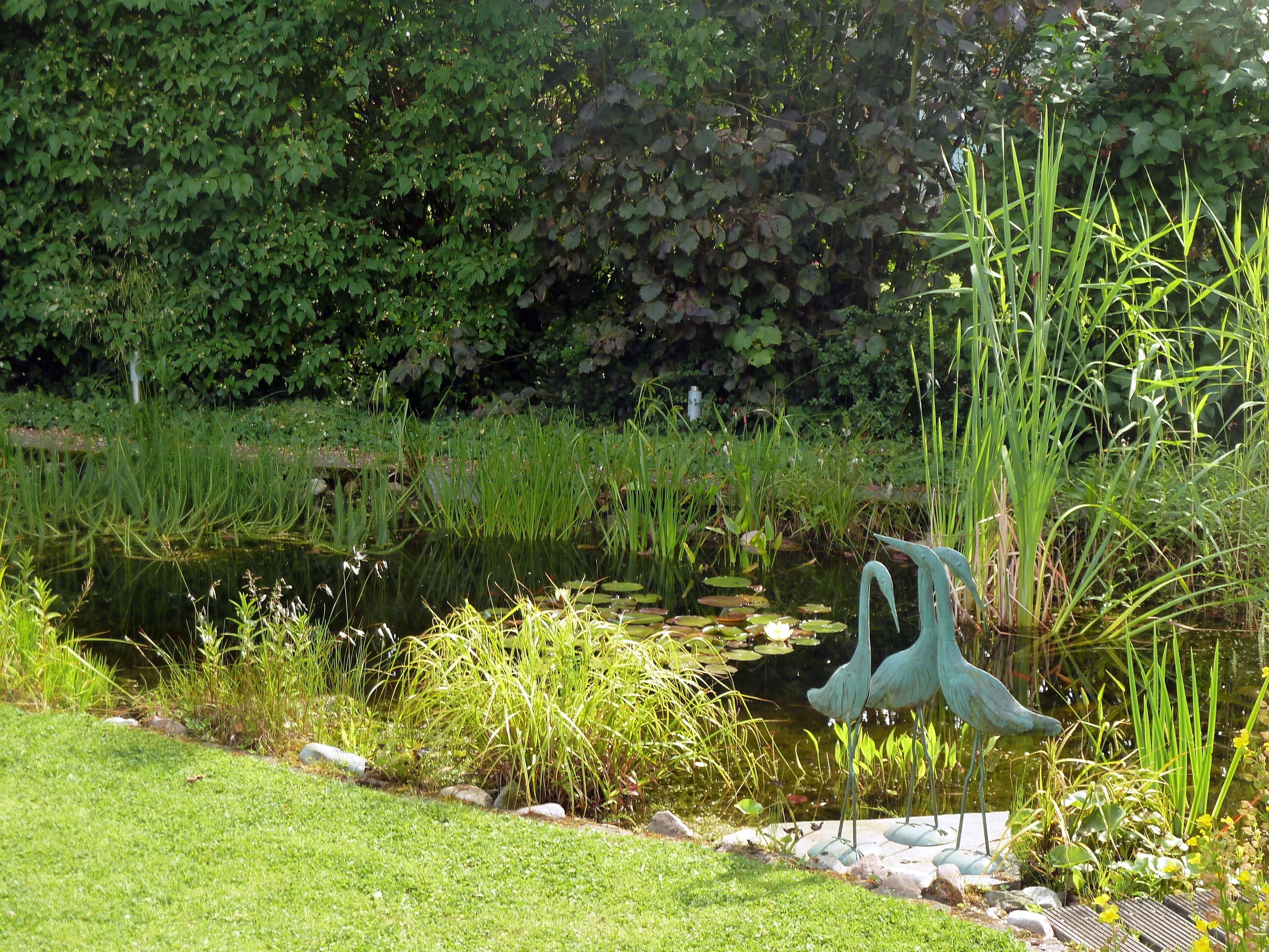 Oberhausen Sterkrade-Nord – Gartenidylle - 3 von 4