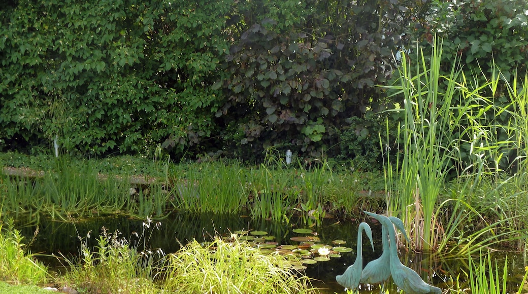 Oberhausen Sterkrade-Nord – Gartenidylle - 3 von 4