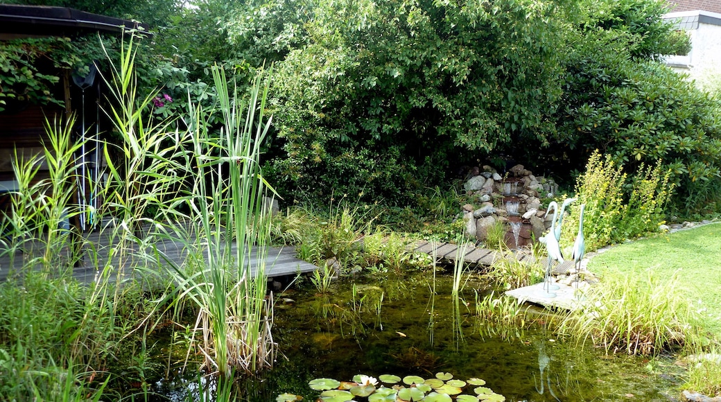 Germany - Oberhausen Sterkrade-Nord – Gartenidylle - 4 von 4