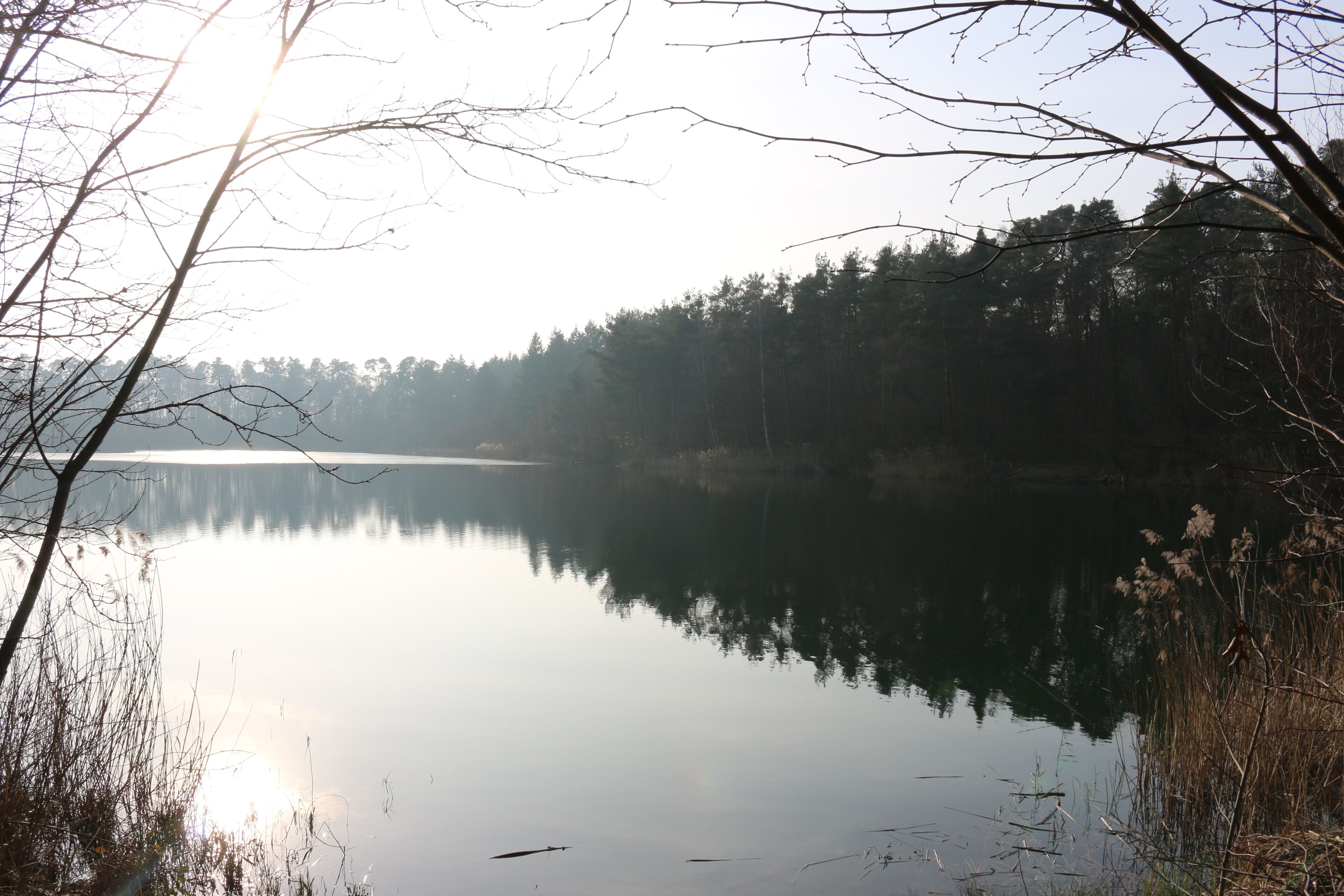 Walldorf Baden-Würtemberg: Waldsee im Naturschutzgebiet Hochholz