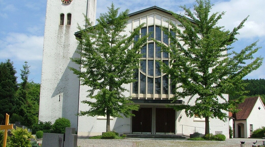 Zwei Ginkgobรคume vor der Kirche