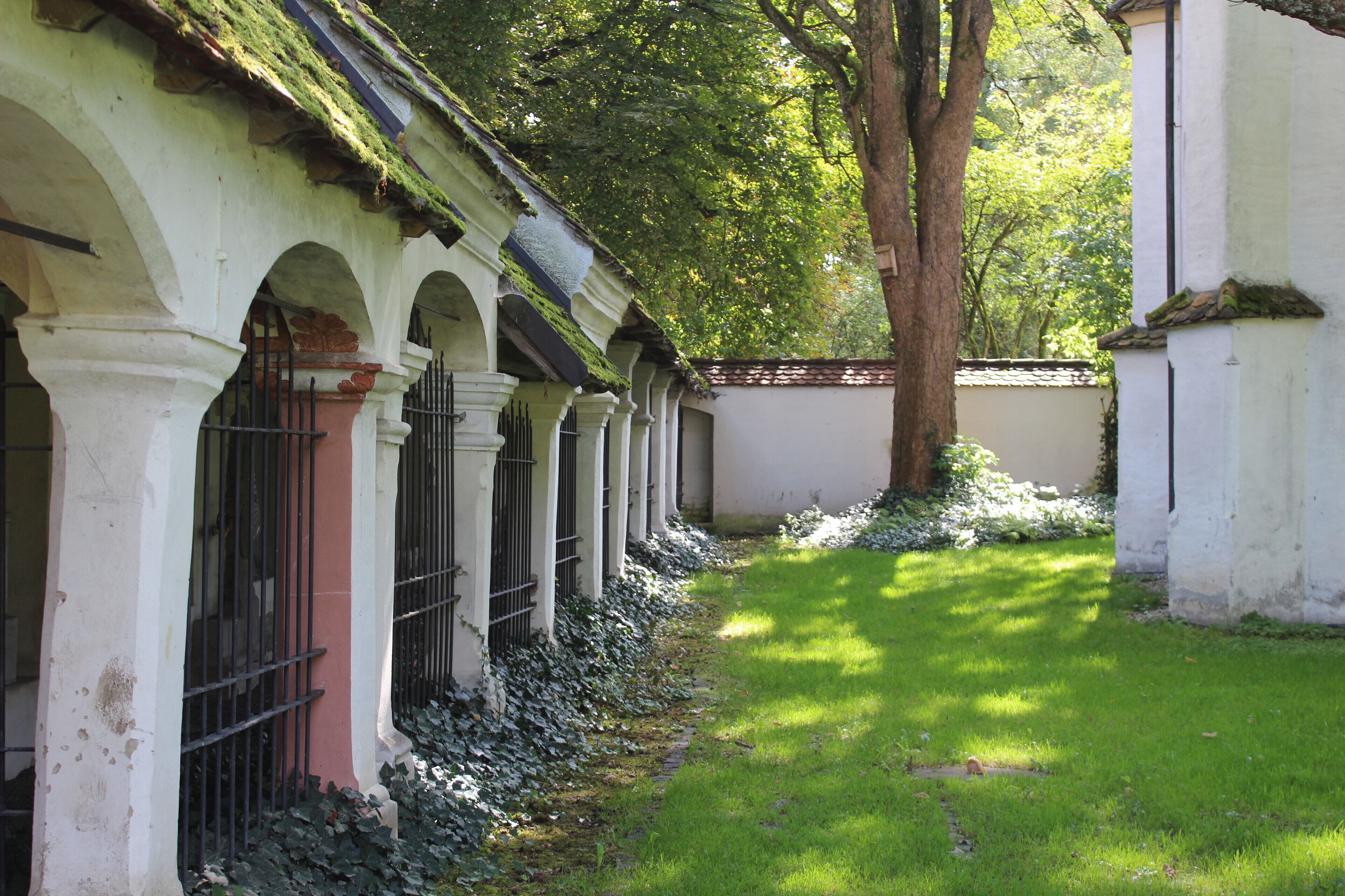 88239 Wangen im Allgäu, Germany