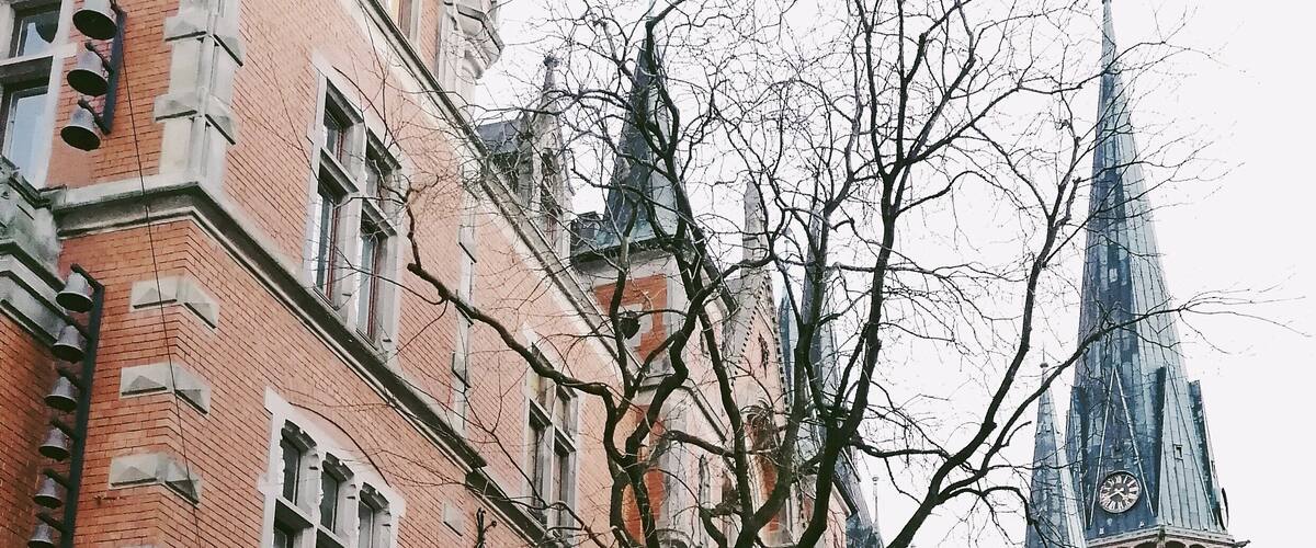 A cobblestone street lined with historic buildings, a prominent church tower, and leafless trees.