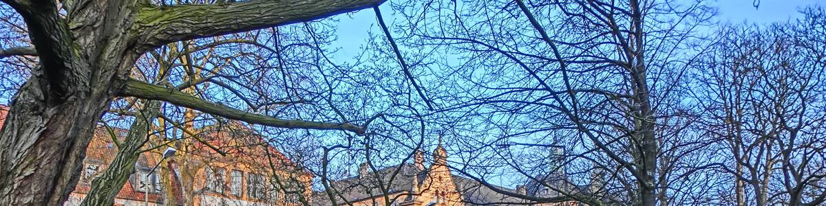 Innenstadt, 49074 Osnabrück, Germany