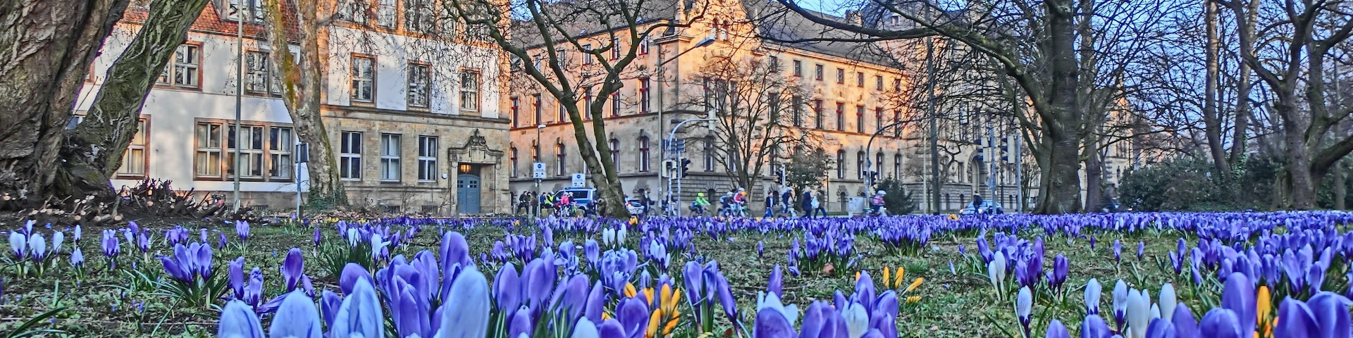 Innenstadt, 49074 Osnabrück, Germany