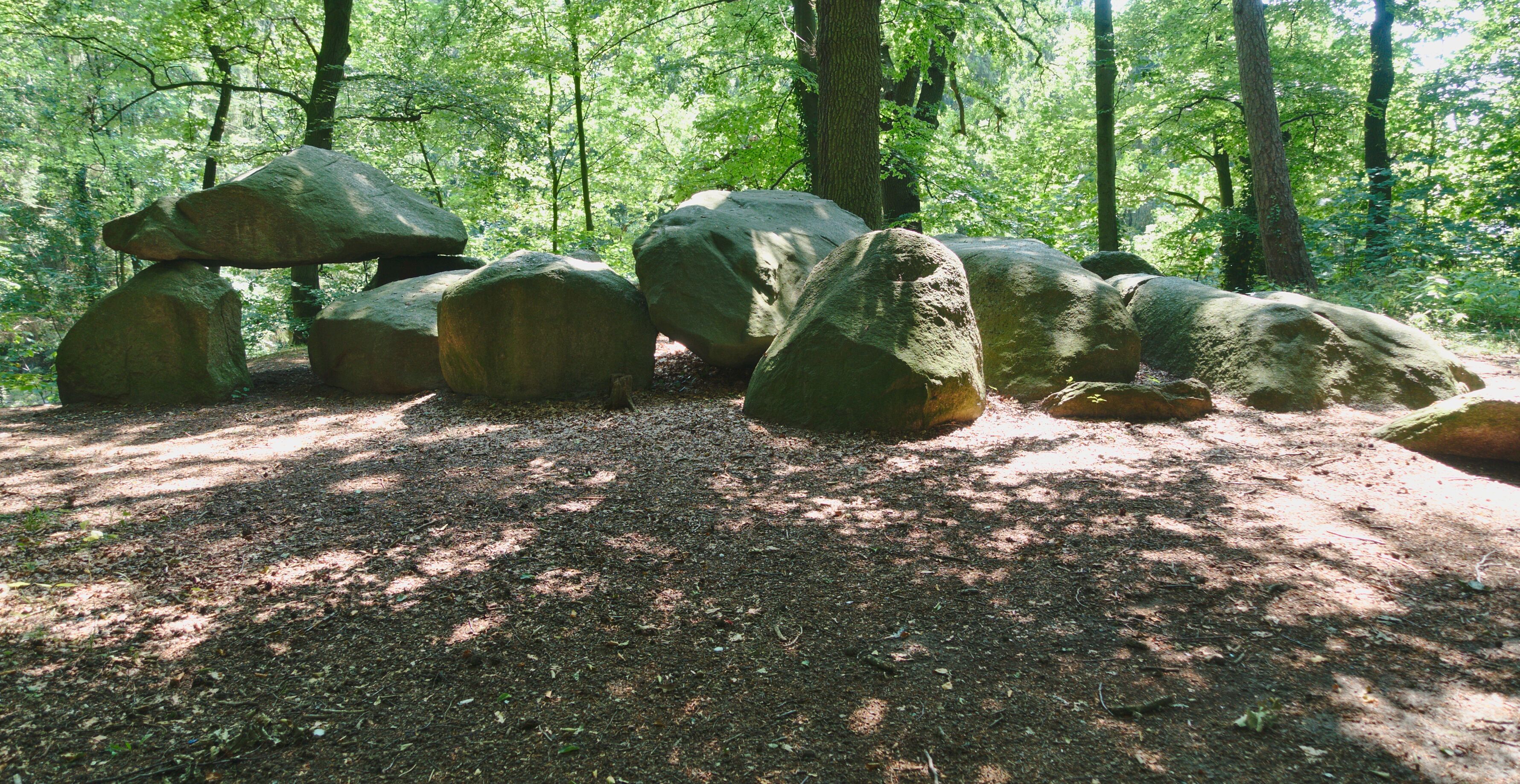 Large boulders in a forested area with sunlight filtering through the trees.