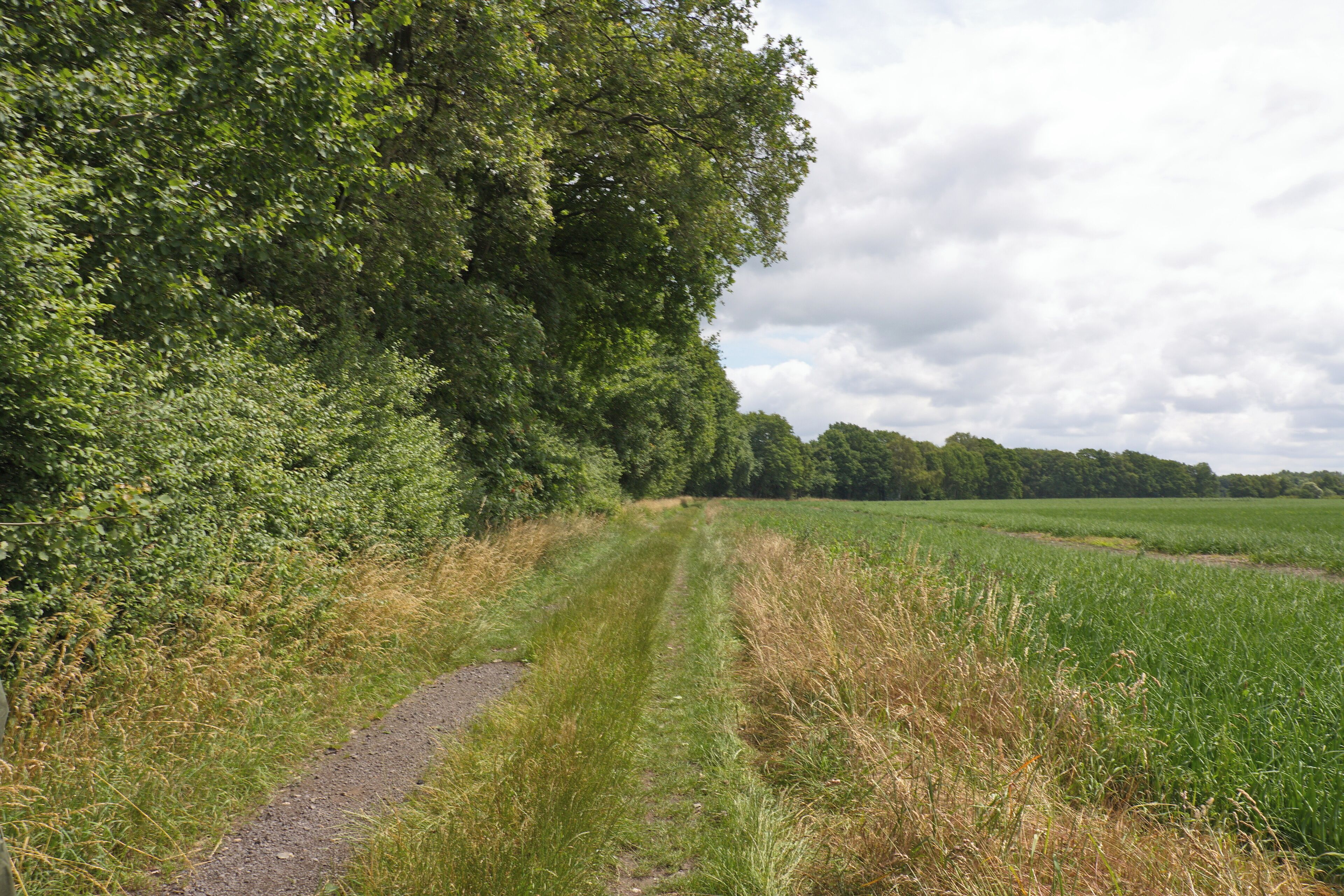 Naturschutzgebiet Schwarzwasserniederung in Niedersachsen, Deutschland