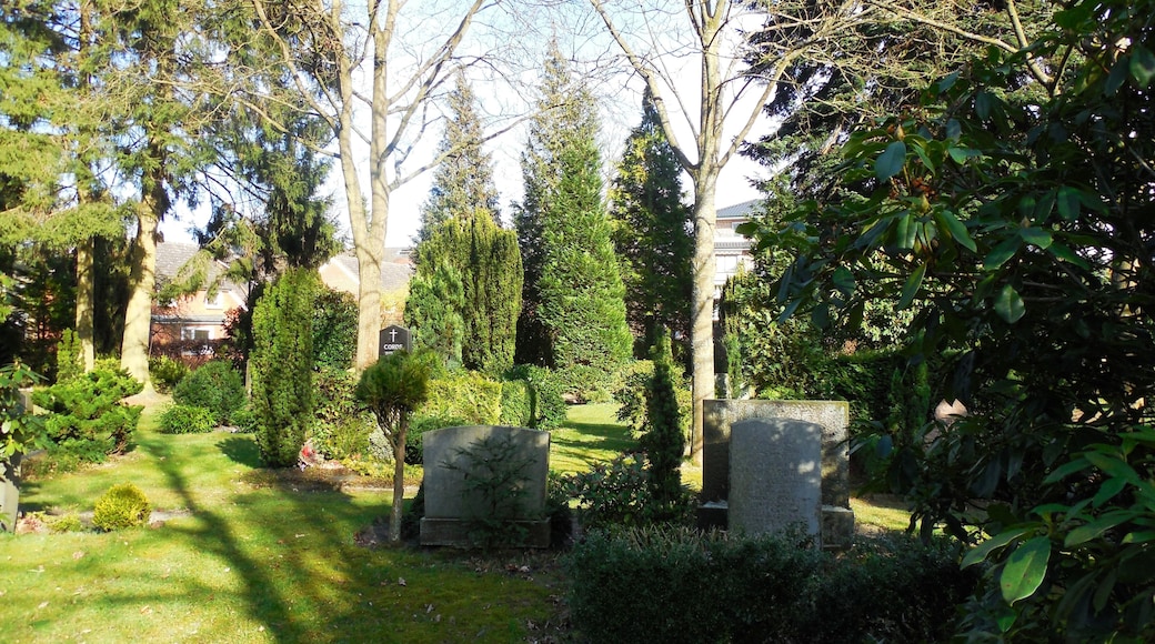 Friedhof