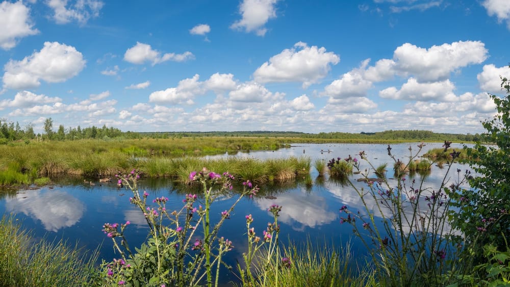 A serene lake surrounded by lush greenery and a clear blue sky with scattered clouds.