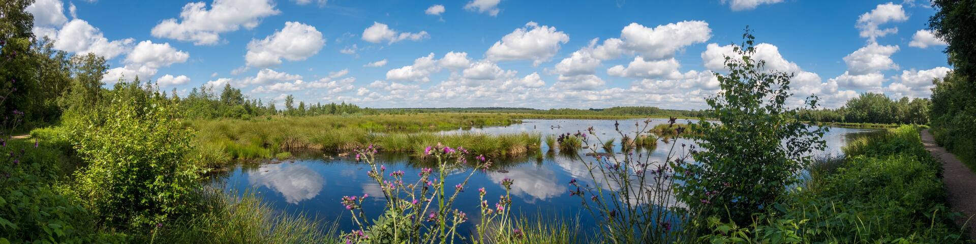 A serene lake surrounded by lush greenery and a clear blue sky with scattered clouds.