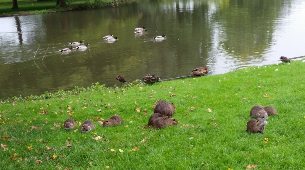 Am Schloss Favorite - RASTATT