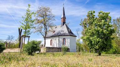 Een witte kerk met een hoge spits en rode ramen, omgeven door bomen en een veld.