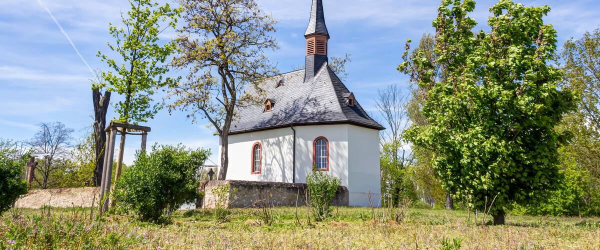 A white church with a tall steeple and red windows, surrounded by trees and a field.