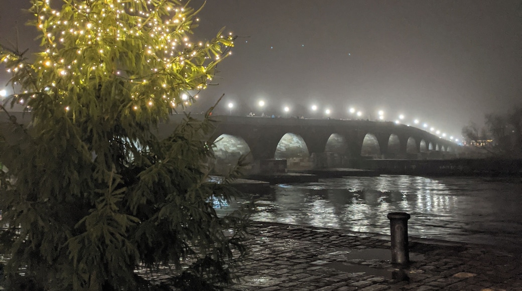 Old stone bridge during December. #regensburg #germany #bridge #foggynight #christmastree