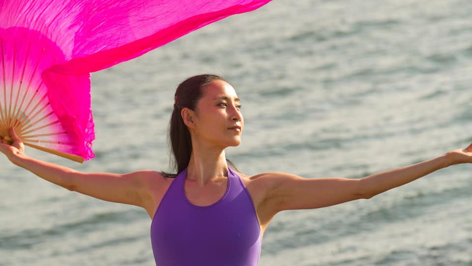 A person in a purple dress standing on rocks by the sea with a pink fan.