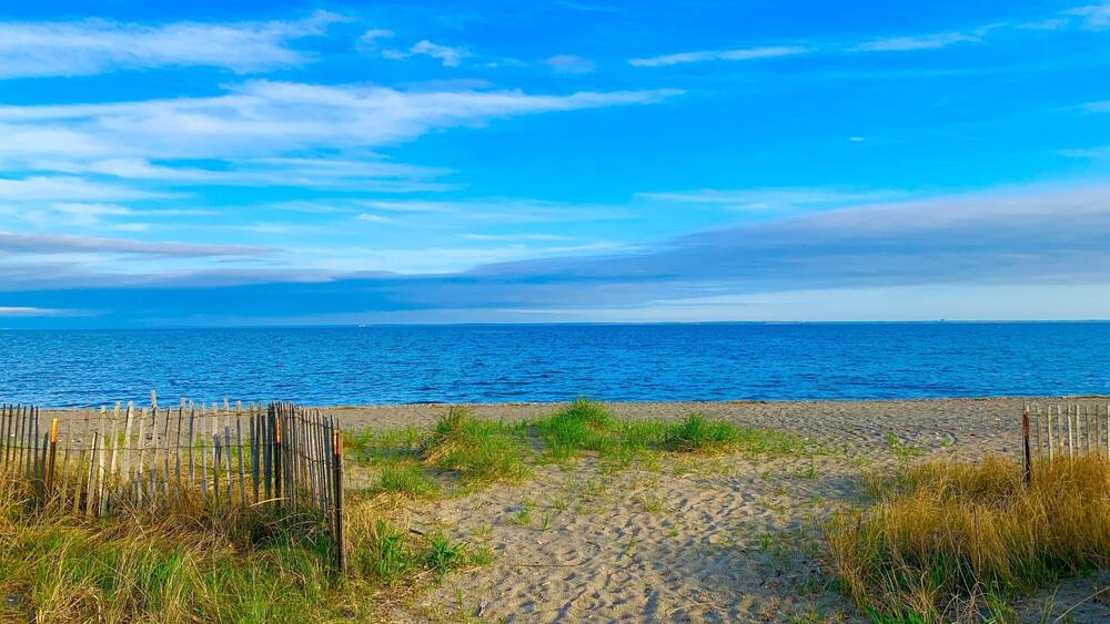 A sandy beach with a wooden fence, grassy dunes, and a calm sea under a clear blue sky.