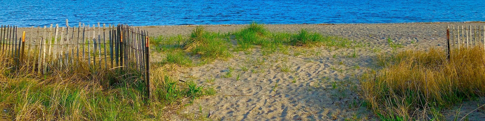 A sandy beach with a wooden fence, grassy dunes, and a calm sea under a clear blue sky.