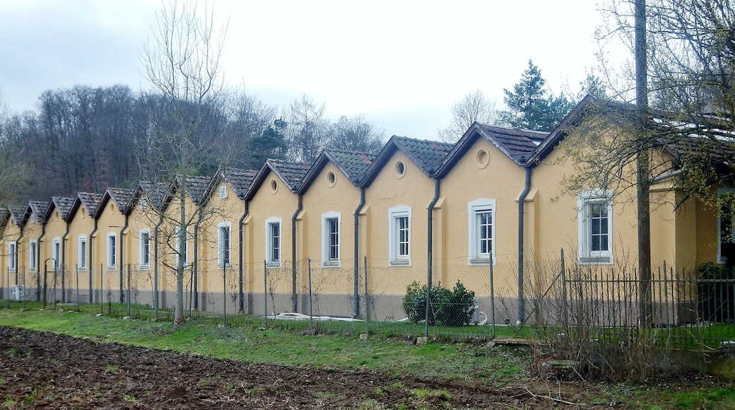 Beim 366 km langen Neckartalradweg: Nayki und Alte Weberei in Mittelstadt, Automuseum